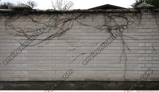 Photo Texture of Wall Brick 0014